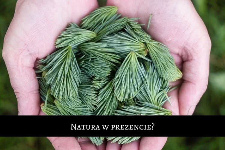 Natura w prezencie?